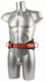 Portwest FP08 Padded Fall Arrest Belt