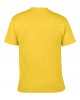 Gildan GD01 Softstyle Ringspun T-Shirt