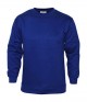Absolute Apparel AA21 Magnum Sweatshirt