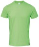 Gildan GD01 Softstyle Ringspun T-Shirt