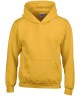 Gildan GD57B Heavy Blend Kids Hooded Sweatshirt